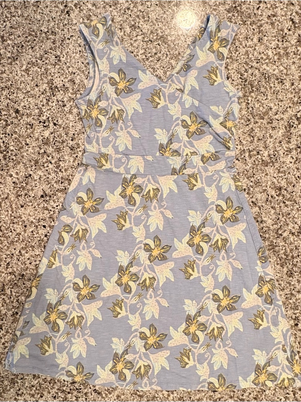 Patagonia Dress